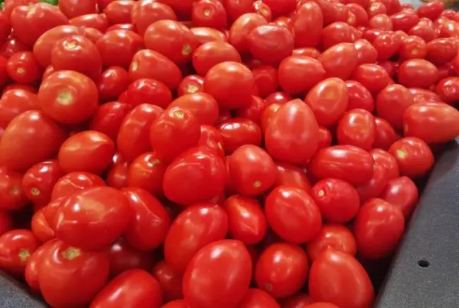 Отличный столовый сорт томата, с необычной расцветкой — помидор «Цыган»