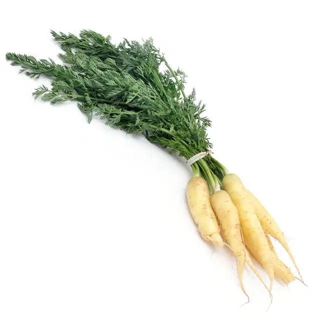 Вайт Сатин - сорт растения Морковь
