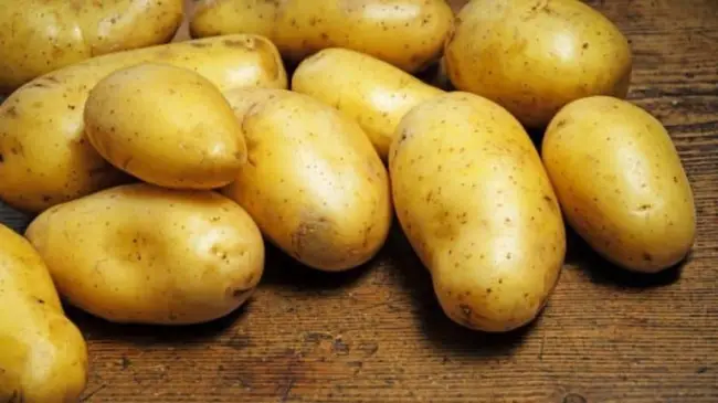 Спасите картошку от картофельной моли