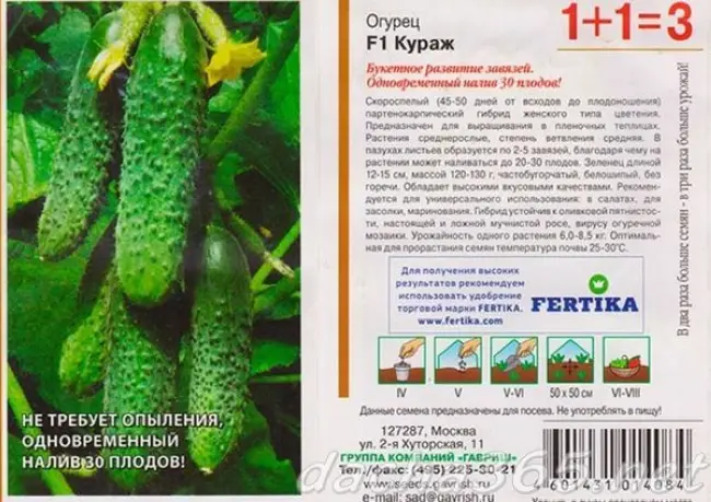 Огурцы Кураж f1: описание сорта с фото и отзывами, выращивание, в том числе полив