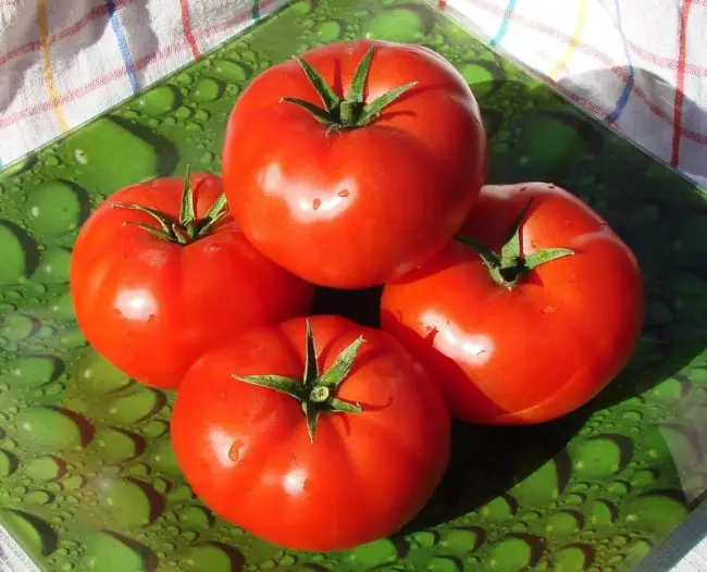 Описание, характеристика, фото, отзывы о сорте томата (помидора) “Адмиро”