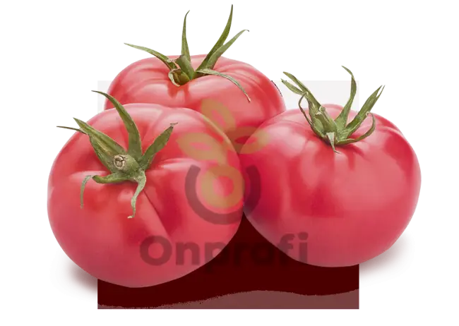 Томат маня описание сорта – Томат характеристика и описание сортов. Любите ли вы помидоры? А что вы знаете о них? Хотите знать больше о сортах и гибридах? (Фото & Видео) +Отзывы
