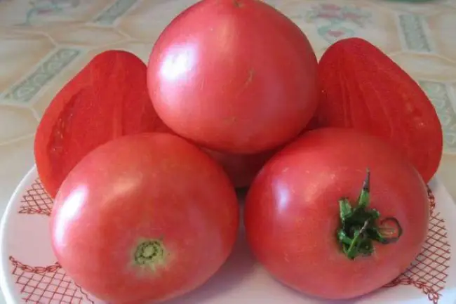 Сорт томата Русский размер F1: описание в таблице, фото, отзывы