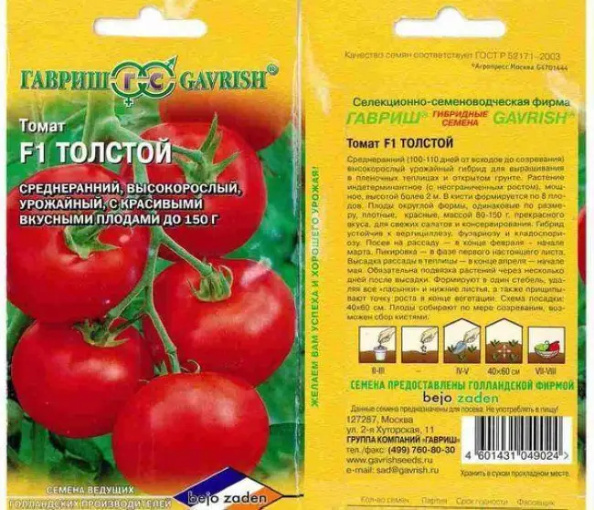 Томат Толстой: ТОП отзывы, важные секреты выращивания, описание