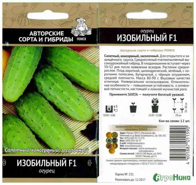 Сорт огурцов Забава f1 — характеристика и важные правила выращивания