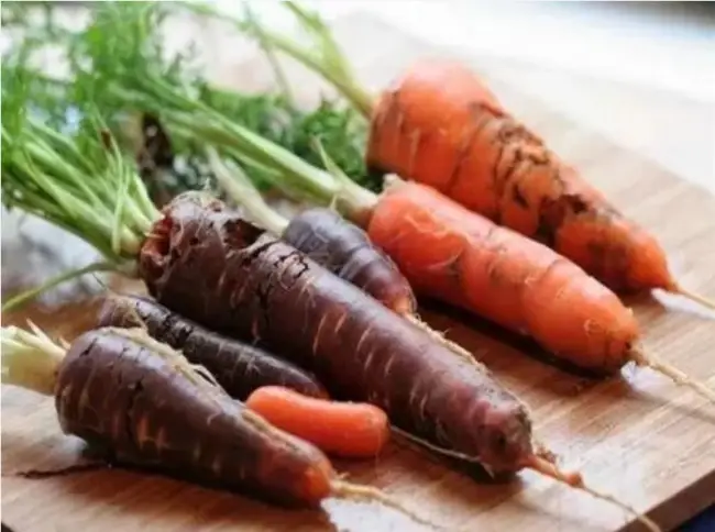 Как спасти урожай от морковной мухи