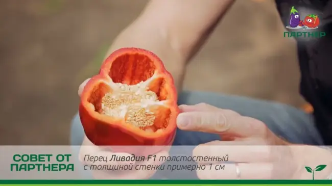 ЛИВАДИЯ f1: отзывы, фото, описание сорта сладкого болгарского перца
