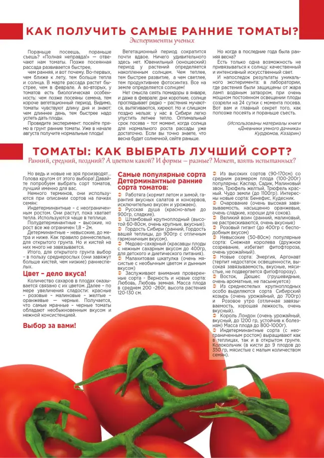 Описание сорта томата Сибирский козырь и его характеристики