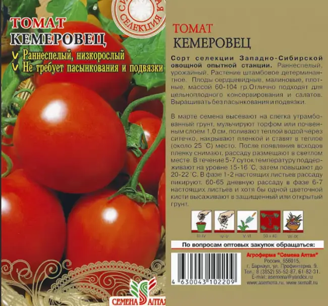Раннеспелый и неприхотливый Сибирский томат.