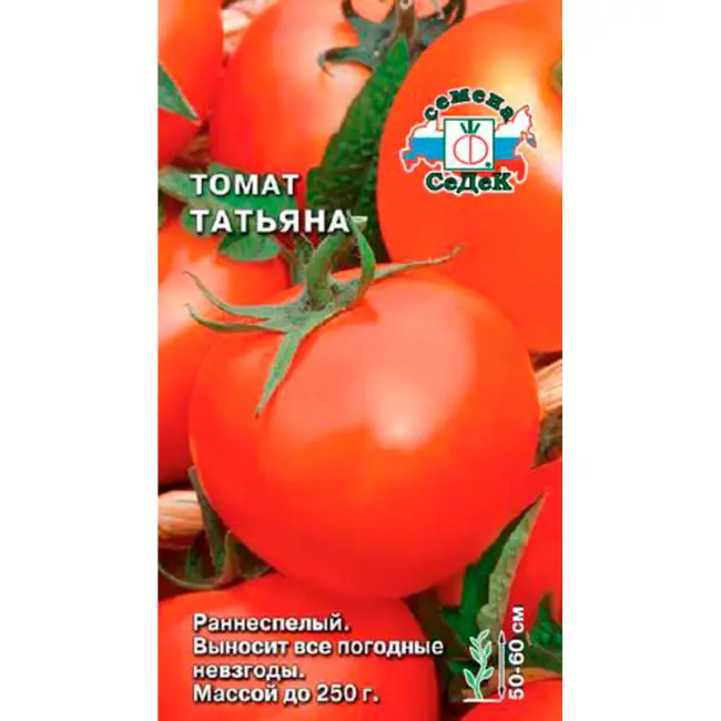 Томат Татьяна: фото сорта помидоров, отзывы огородников и пошаговая инструкция по его выращиванию