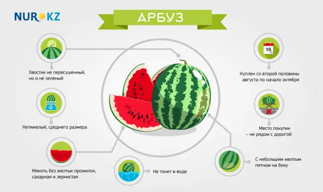 Какие арбузы можно закладывать на хранение