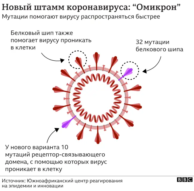 Признаки нового штамма омикрон