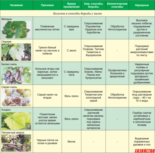 Про сад - плодовые деревья, кустарники, уход, советы, агротехника