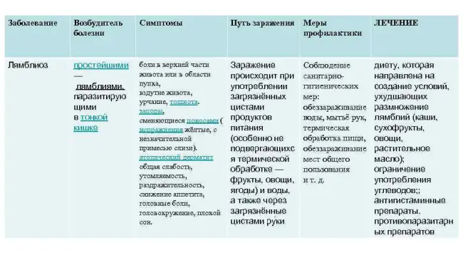 Возбудитель инфекции, причины и симптомы заболевания