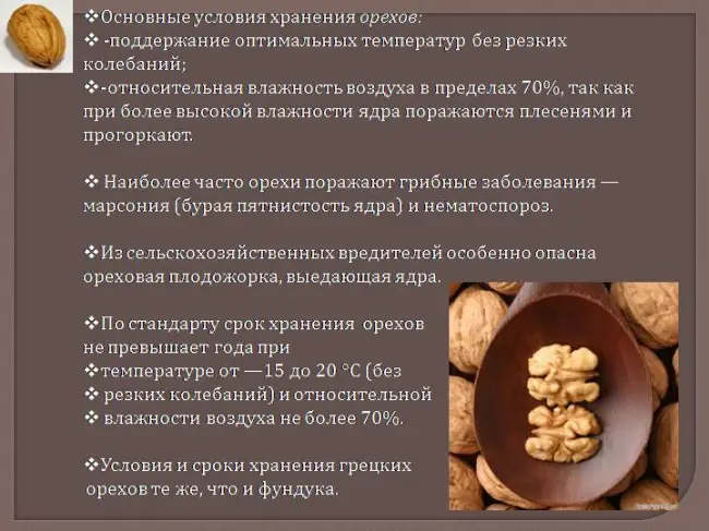 Особенности хранение неочищенного ореха