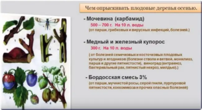 Заключение диссертации по теме «Защита растений», Крюкова, Анна Владимировна