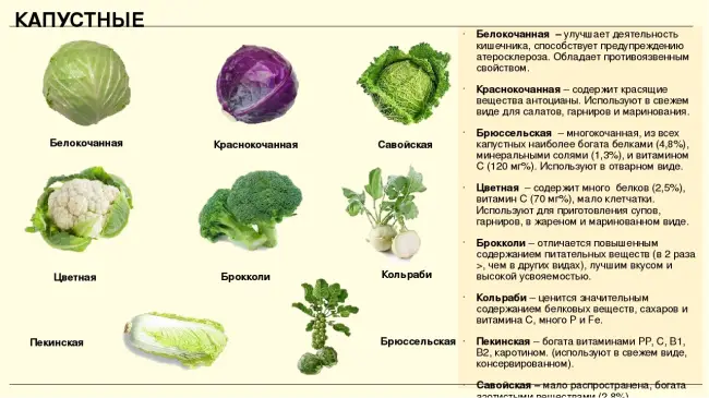 Правила ухода