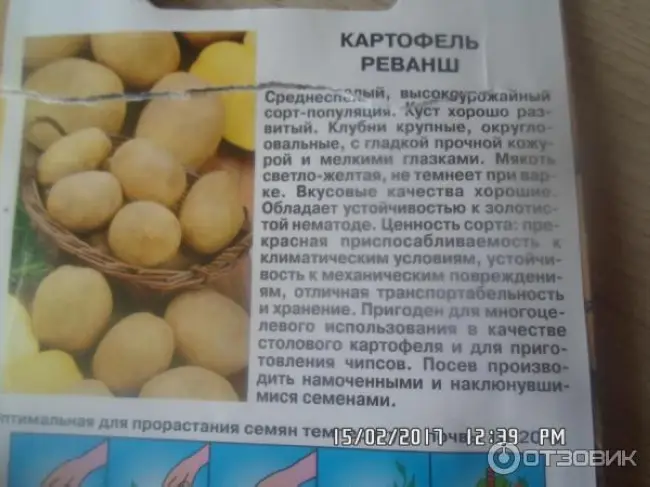 Описание и характеристика сорта