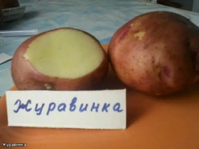 Посадка и уход