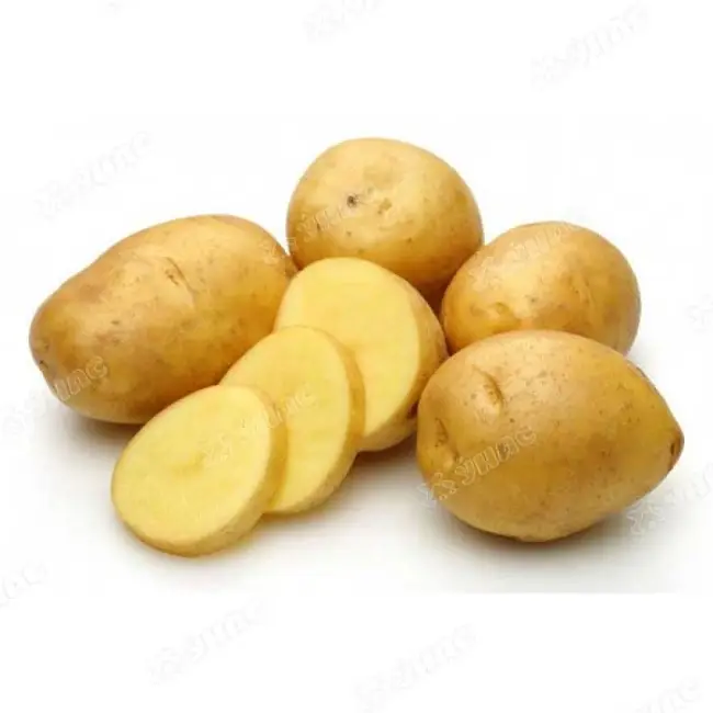 Описание картофеля сорта Нандина