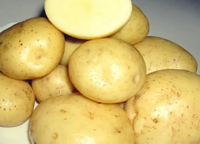 Посадка и выращивание картофеля сорта Лакомка