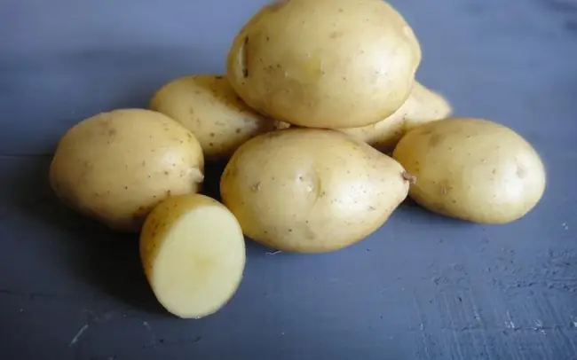 Отзывы о картофеле сорта Ривьера