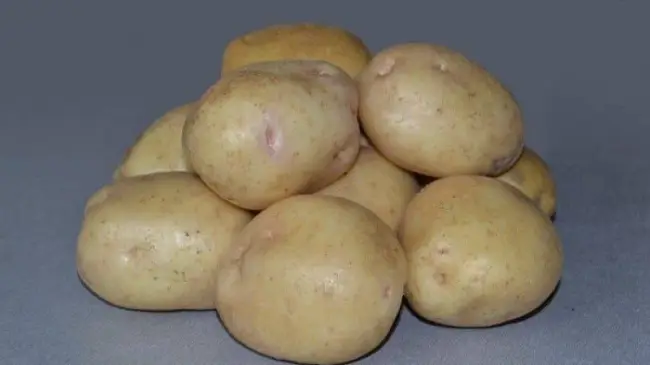 Посадка и выращивание картофеля сорта Инноватор