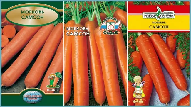 Описание сорта моркови Самсон