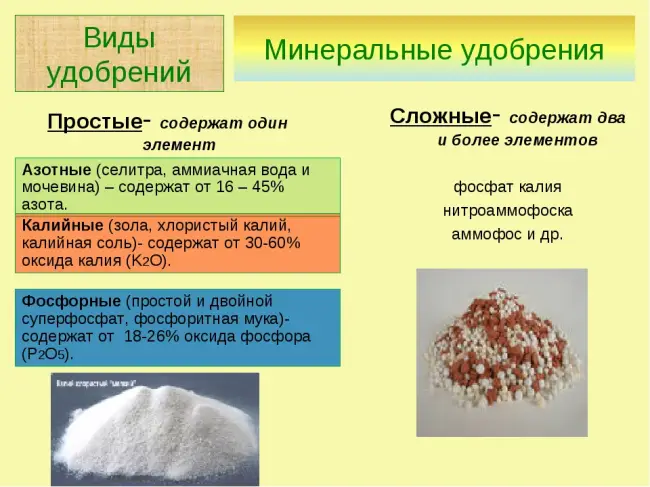 Проект по химии 9 класс минеральные удобрения