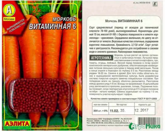 Посадка моркови Витаминная 6 в дачных условиях