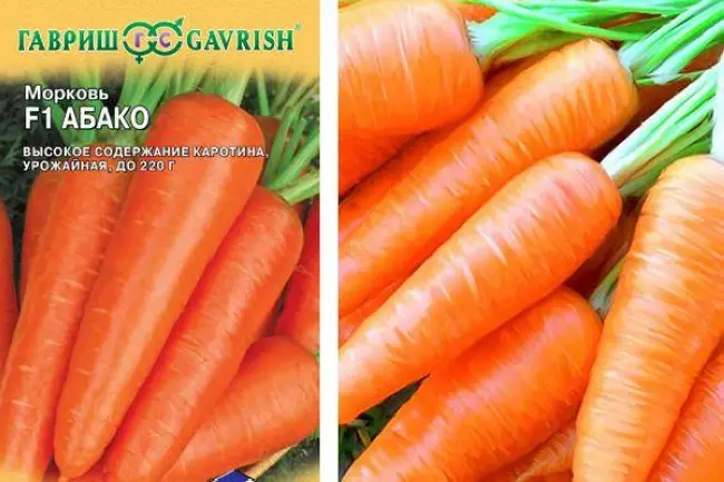Характеристика и описание сорта моркови Абако, урожайность