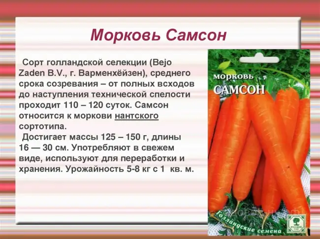 Морковь Эмперор F1 описание сорта