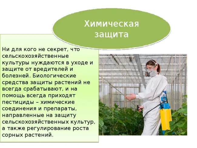 Заключение диссертации по теме «Защита растений», Ховалыг, Надежда Адышааевна