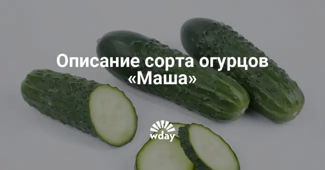 Описание и характеристика сорта