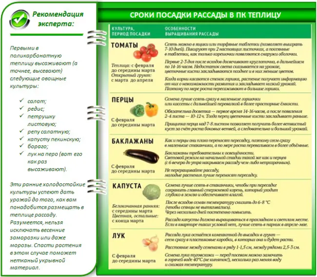 Через сколько дней всходят семена