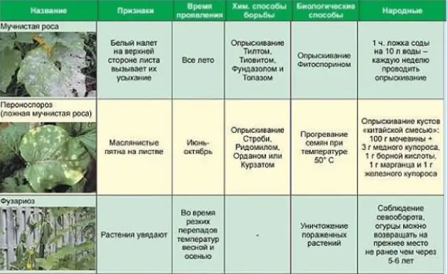 Болезни и вредители