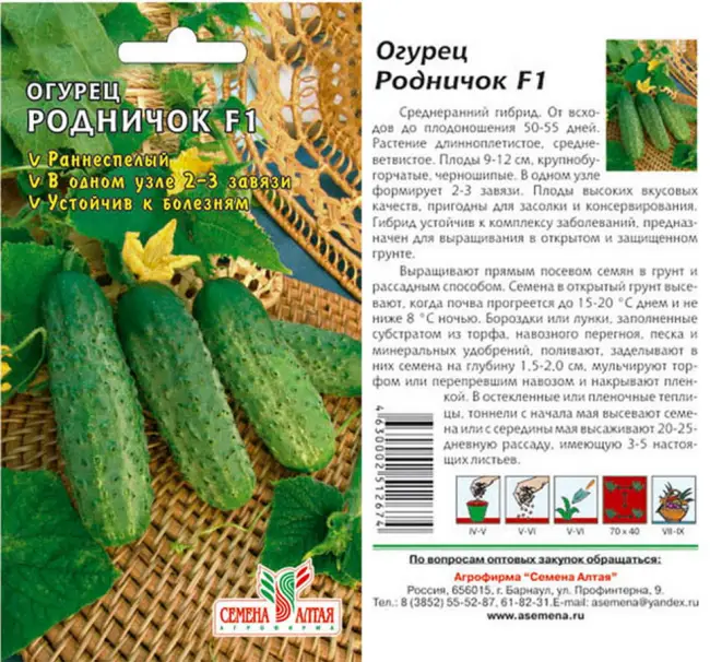 Сорта огурцов родничок отзывы. Огурец Родничок семена Алтая. Огурец Родничок f1 семена Алтая. Огурец Родничок f семена Алтая. Семена огурцов Родничок.