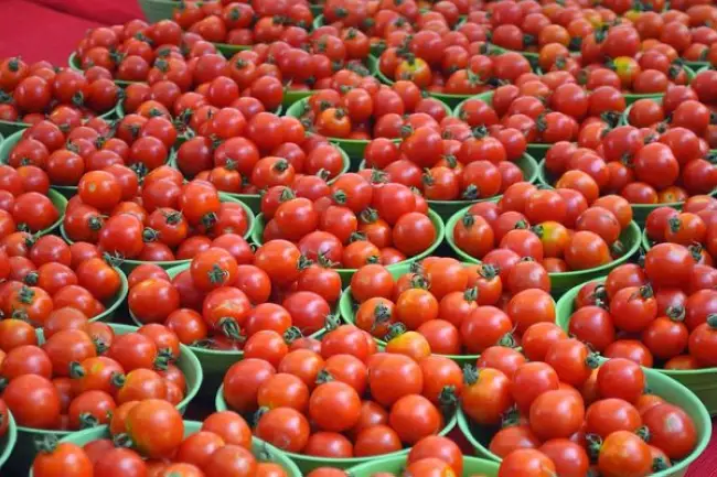 Описание сорта томата Малика, особенности выращивания и уход