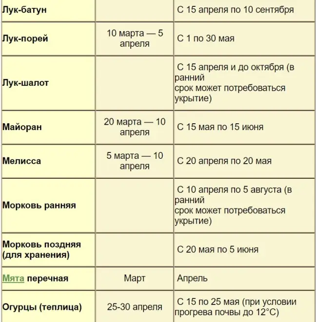 Посадка огурцов на рассаду