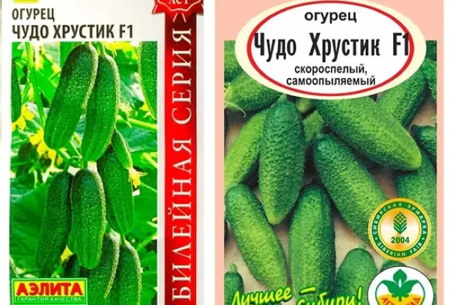 Описание и характеристика сорта