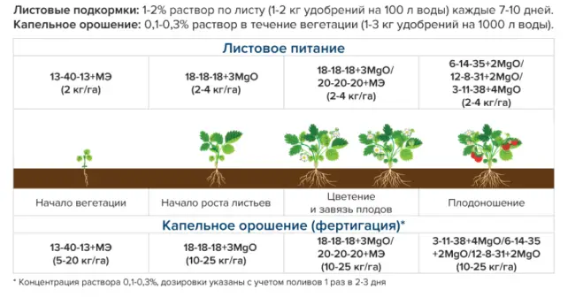 Правила внесение удобрений