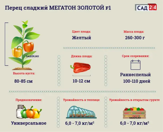 Дальнейший уход за посадками