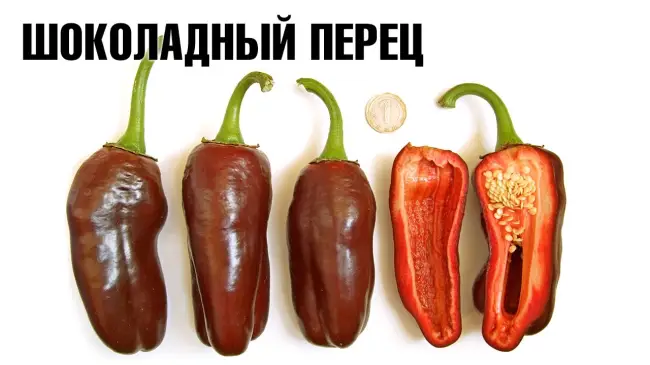 Посадка и уход