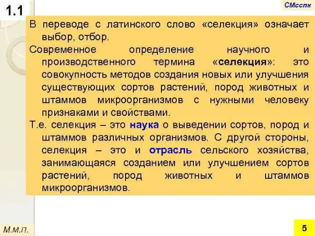 Заключение диссертации по теме «Селекция и семеноводство», Пышная, Ольга Николаевна