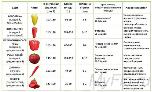 Посадка перца