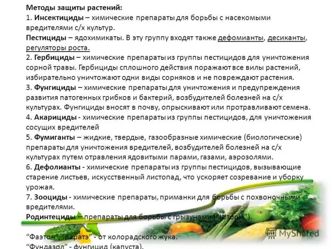 Заключение диссертации по теме «Защита растений», Ермакова, Наталья Владимировна