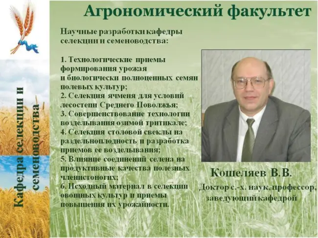 Заключение диссертации по теме «Селекция и семеноводство», Ушаков, Александр Анатольевич