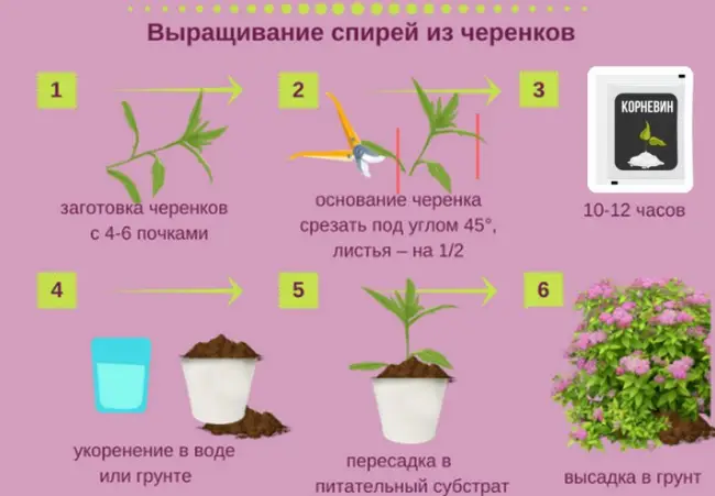 Методы самостоятельной борьбы с клещом. Профилактика