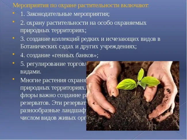 Заключение диссертации по теме «Защита растений», Филипчук, Ольга Дмитриевна
