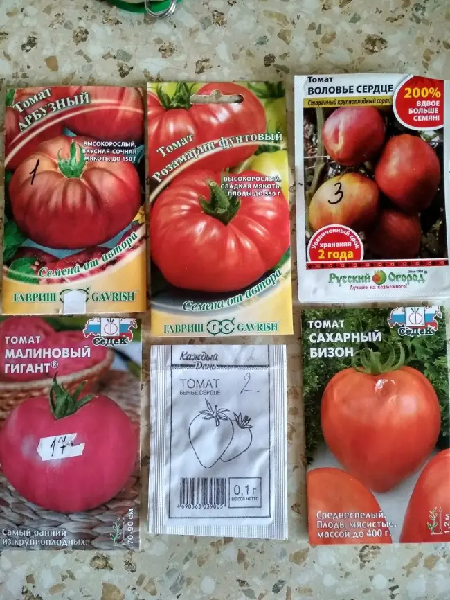 Описание и особенности томатов